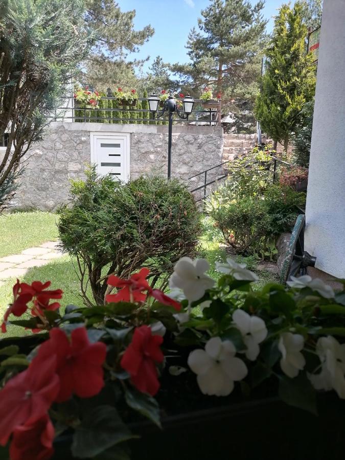 Villa Bozovic Златибор Экстерьер фото