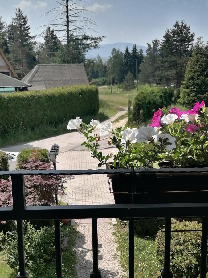 Villa Bozovic Златибор Экстерьер фото